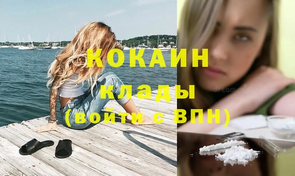 сатива Нея