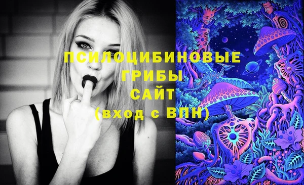сатива Нея