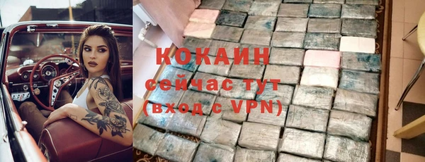сатива Нея