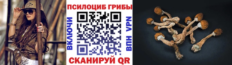 Галлюциногенные грибы мицелий цены ссылка на мегу зеркало Дальнереченск