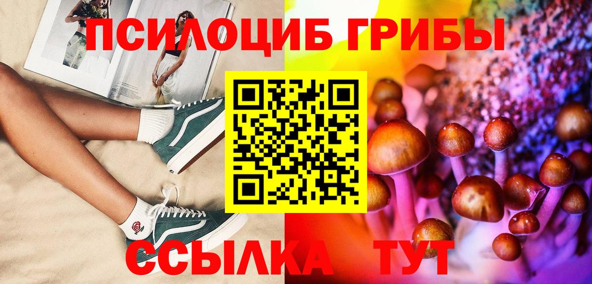 Галлюциногенные грибы Psilocybine cubensis Дальнереченск