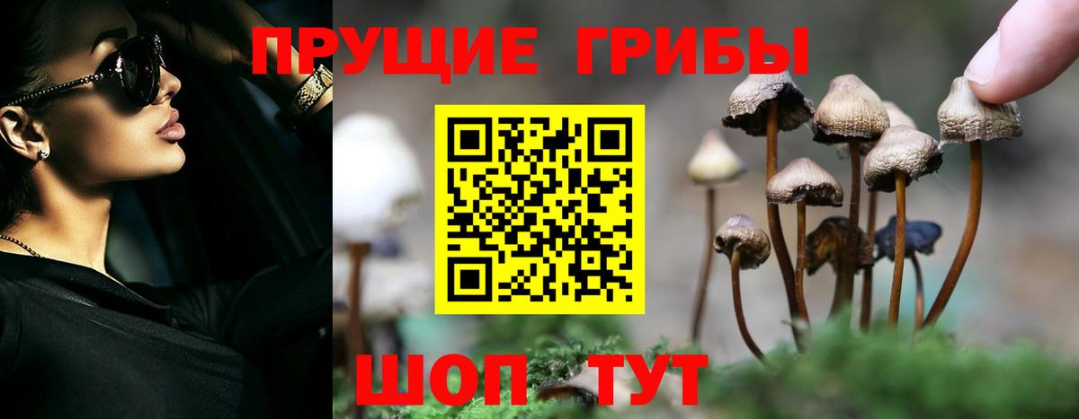 Псилоцибиновые грибы ЛСД  Вход с VPN  Псилоцибиновые грибы MAGIC MUSHROOMS  Дальнереченск 